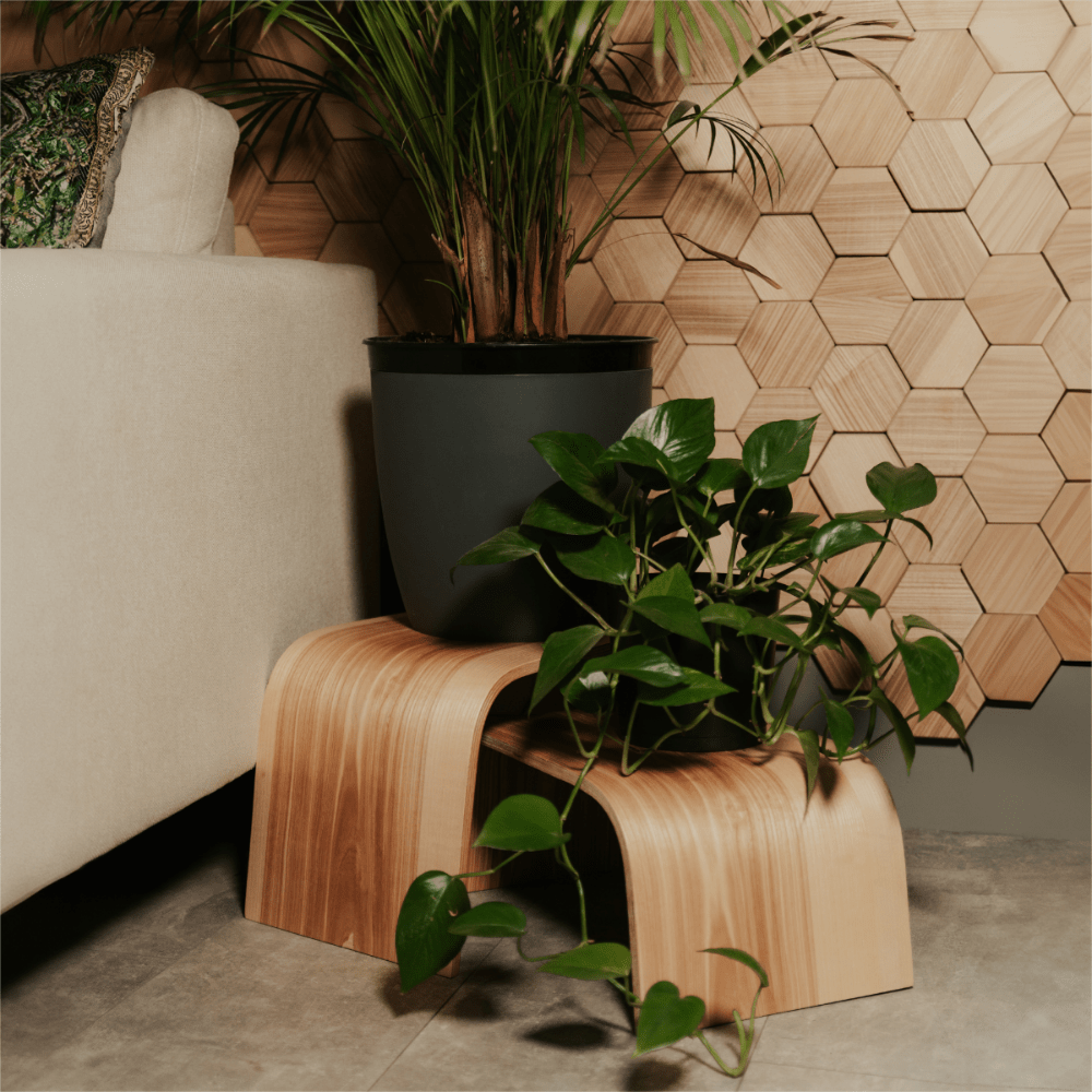 Blumenständer Pflanzenständer Holz Dreierset