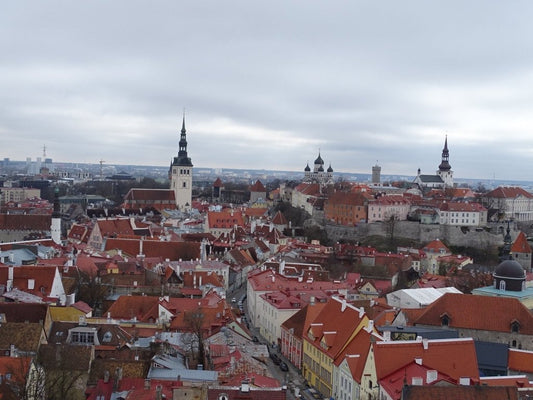 Grandioser Blick auf Tallinn - noor disain