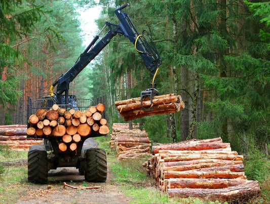 Wald in Gefahr - noor disain