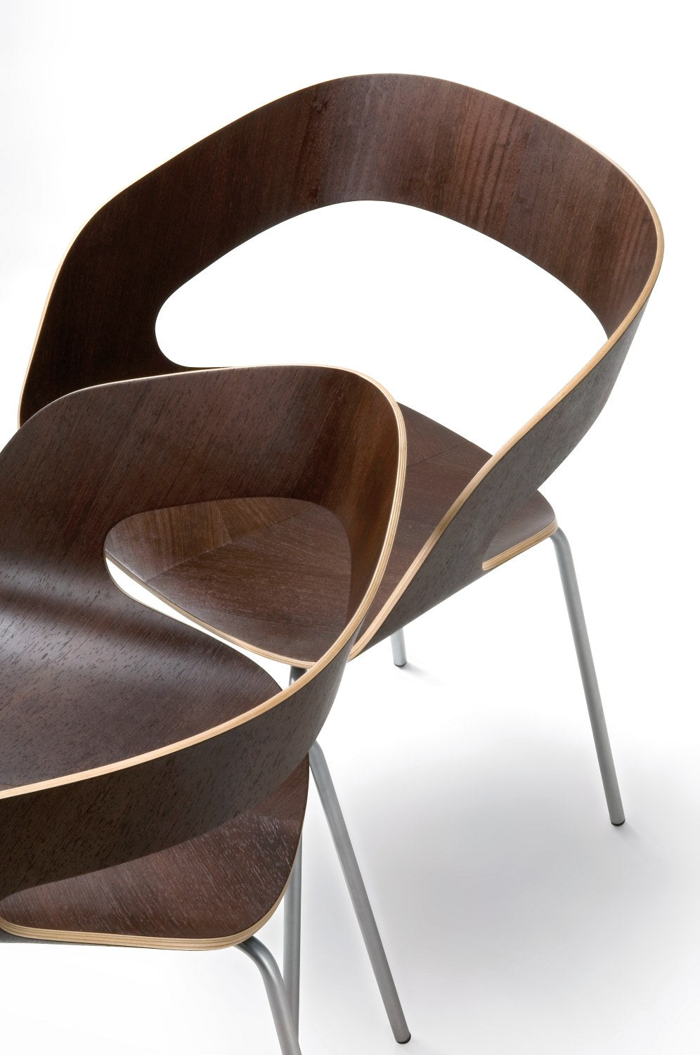 Zwei Stühle CHAT Wenge mit Beinen aus Chrom