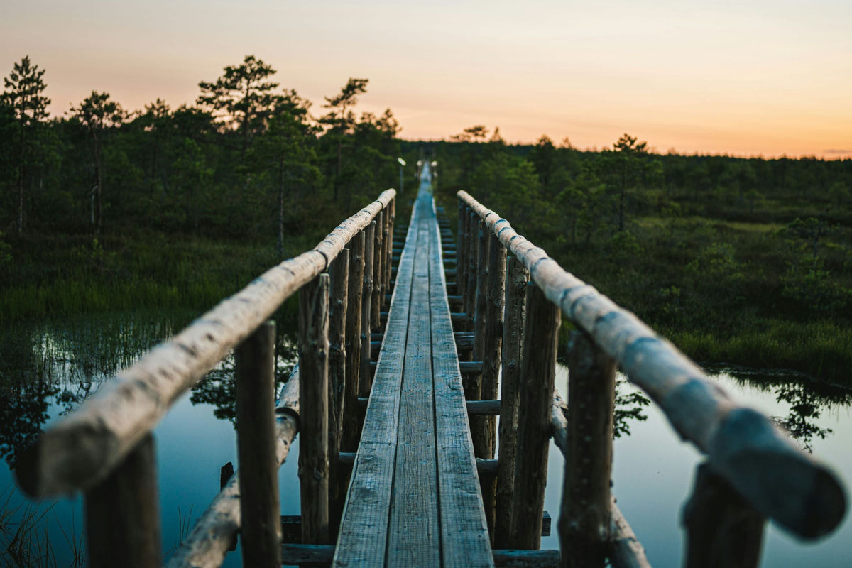 Holzsteg über ein Moor in Estland; Foto: Unsplash